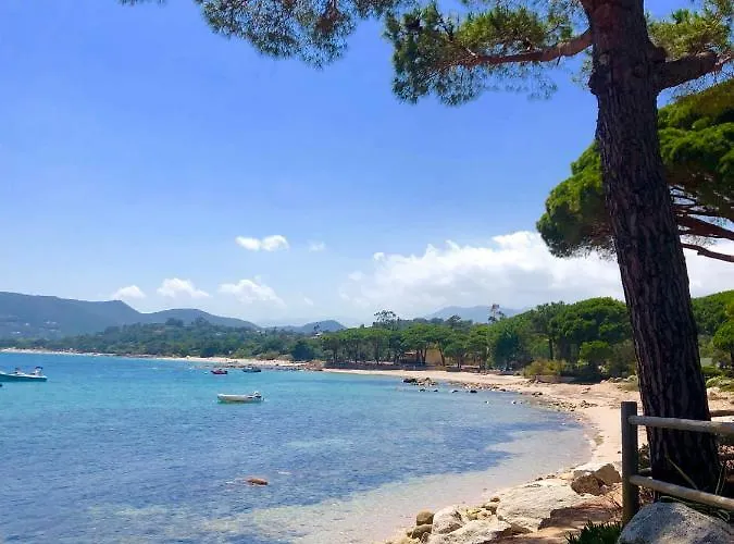 Marina Di Pinarello, Appt Climatise A 400m De La Apartmán Zonza